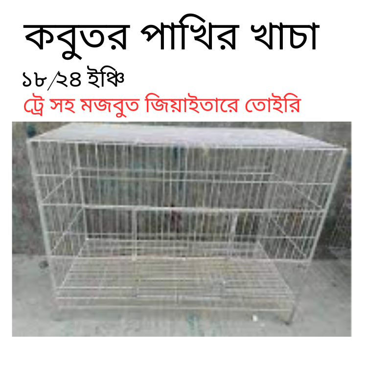 kobutor pakhir khaca (1)